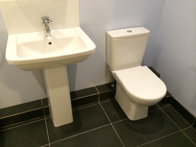 Exisiting toilet & basin