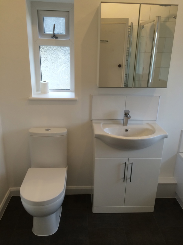 Toilet & vanity unit with mirror cabinet above