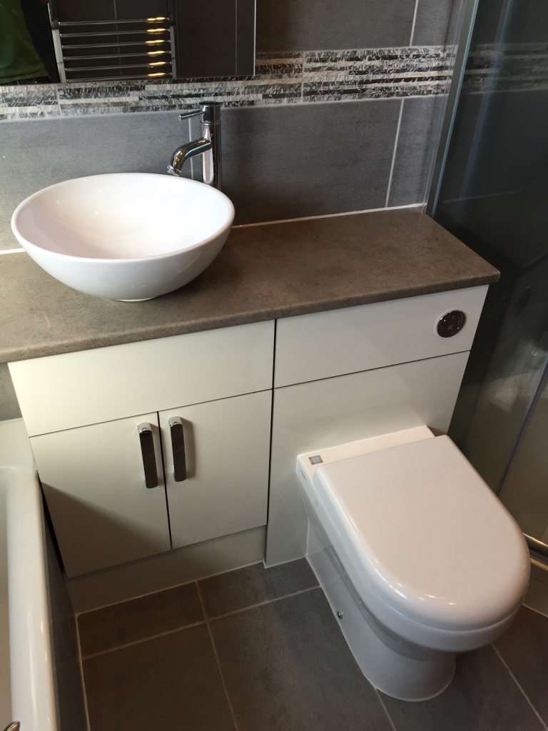 toilet with concealed cistern