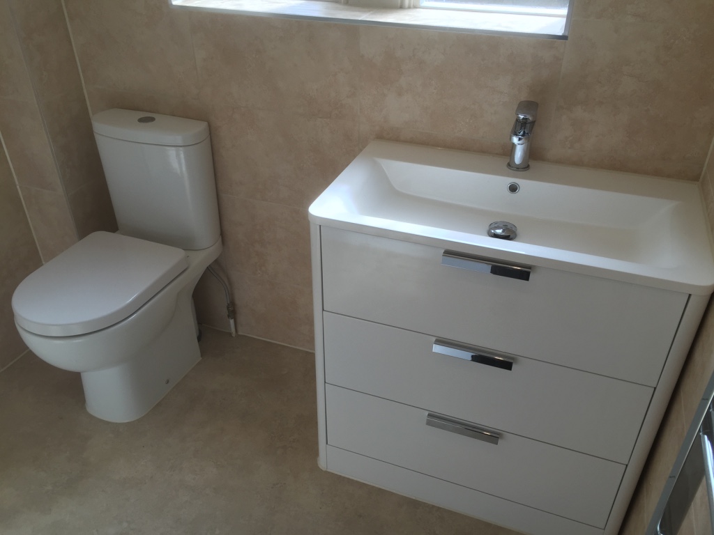 Basin Vanity Unit & Toilet