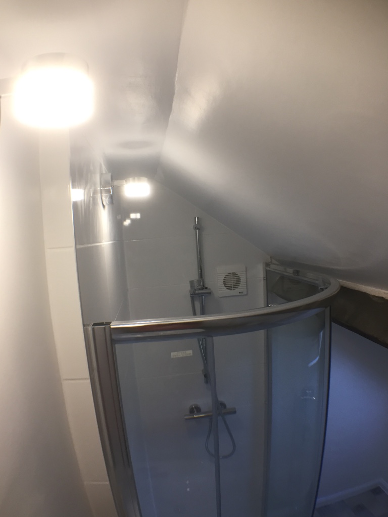 shower-vs-sloping-ceiling