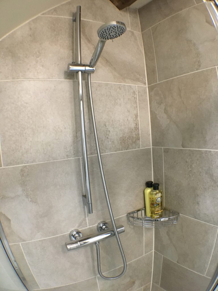 Thermostatic mixer shower